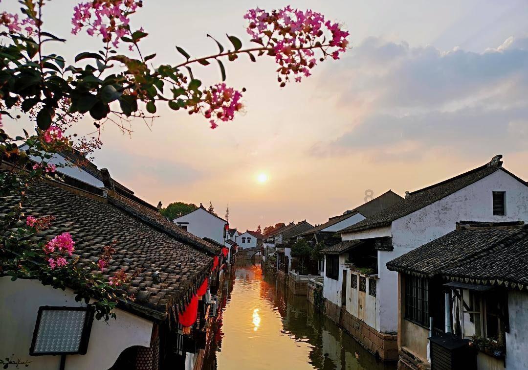 拯救精灵的土地8